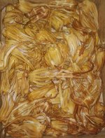 Кальмар щупальца г/к
