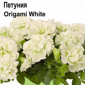Петуния Origami White
