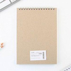 Скетчбук А5, 40 л 100 г/м? «Панда»