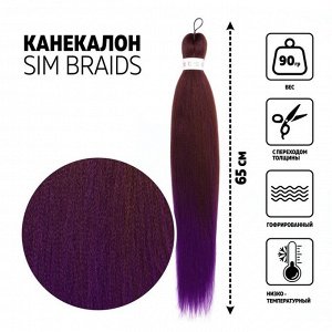 SIM-BRAIDS Канекалон двухцветный, гофрированный, 65 см, 90 гр, цвет фиолетовый/русый(#FR-20)