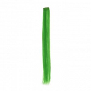 СИМА-ЛЕНД Локон накладной, прямой волос, на заколке, 50 см, 5 гр, цвет зелёный