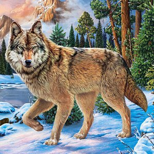 Набор для творчества Алмазная мозаика Волк в зимнем лесу с подр. 20*20см AC20065