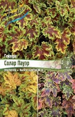 ГЕЙХЕРЕЛЛА СОЛАР ПАУЭР