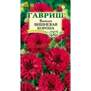 Василек Вишневая корона (Гавр)