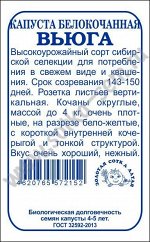 Капуста белокочанная Вьюга б/п /Сотка/ 0,5г/ среднесп. до 4кг/*1200