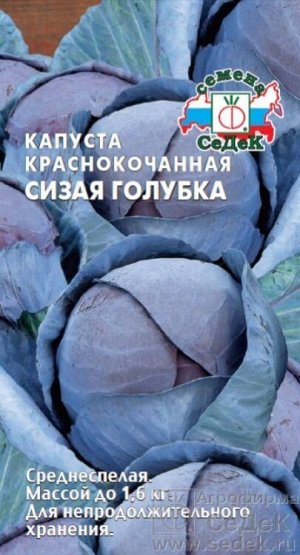 Капуста краснокочанная Сизая голубка /Седек/ 0,5г/ среднесп. до 1,6кг