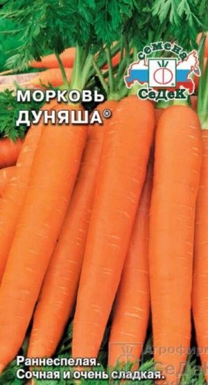 Морковь Дуняша /Седек/ 2г/ ранн.14-16см/1г