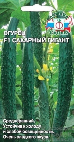 Огурец Сахарный гигант F1 /Седек/ 0,2г/ среднесп. пчелооп. 30-35см