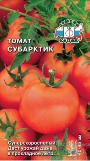 Томат Суб-арктик /Седек/ 0,2г/ ультраран. штамб красн. 40-50г