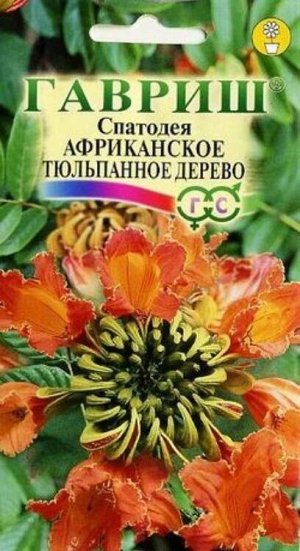 Ком: Спатодея Африканское тюльпанное дерево /Гавриш/0,05г/