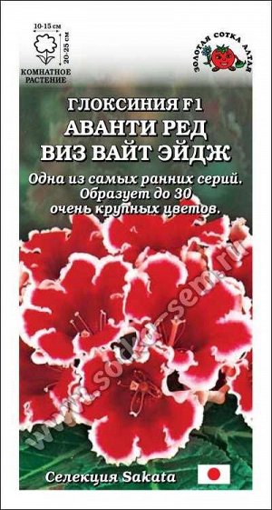 Ком: Глоксиния Аванти Ред виз Вайт Эйдж F1 /Сотка/ 5шт/ h-25см d-15см Sakata/*350