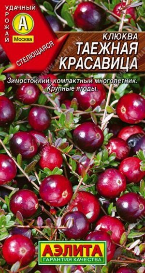 ДК: Клюква Таежная Красавица  /Аэлита/ 0,02г/ h-30см d-1,5г