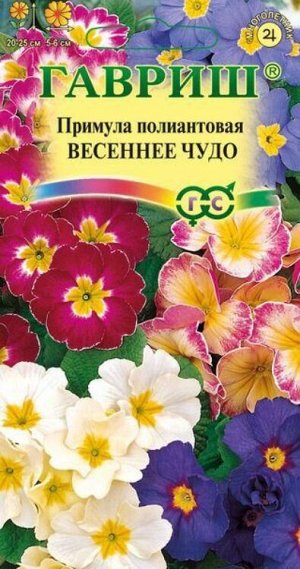 Ком: Примула Весеннее Чудо смесь /Гавриш/ 0,05г