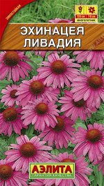 Эхинацея Ливадия пурпурная /Аэлита/0,3гр