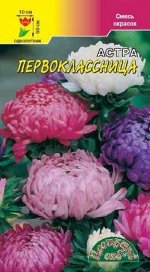 Астра Первоклассница смесь пионовидн. /Цвет сад/0,3гр/h60 d10см