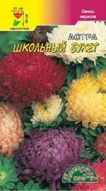 Астра Школьный Букет смесь /ЦветСад/ 0,2г/ пион. 70см, d-10см