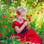Коллекция № 2. Рисование по номерам -40*50см