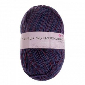 Пряжа Пехорская ПТ "Ровница "Мультиколоровая" № 976М