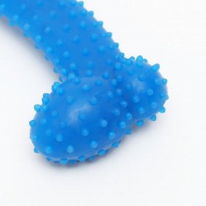 Пижон Игрушка жевательная суперпрочная &quot;Любимое лакомство&quot;, 11 см, синяя