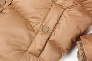 Куртка Легкая демисезонная куртка незаменимая вещь в гардеробе. Она отлично сочетается с повседневной одеждой. Наша модель представлена в новых цветах, сдержанных и нежных. Новинка сезона – цвет кэмел