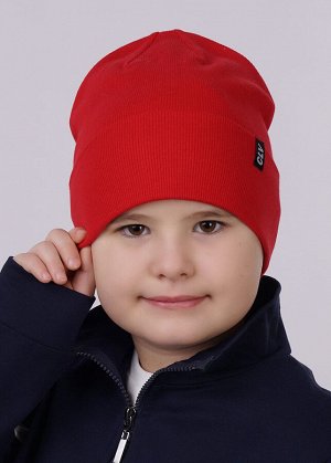 Шапка Состав: 95% хлопок, 5% эластан
Год: 2022
Страна: Россия

Детская двойная шапка с отворотом, декорирована имиджевой нашивкой логотип . Размер UA соответствует размеру 54-56.