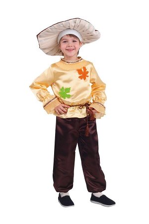 Костюм Российский размер: 134 | 128 | 116 | 110 | 122
Материал: полиэстер
Год: 2022
Страна: Россия
Карнавальный костюм Белый гриб универсален для девочек и для мальчиков. Он отлично подойдет для спект