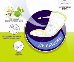 Ежедневные прокладки женские Bella Panty soft tilia с экстрактом липового цвета в упаковке 60 штук