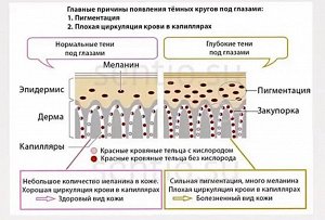 TETe Cosmeceutical Биокомплекс тонизирующий от отеков и темных кругов