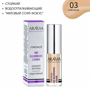 Консилер стойкий водоотталкивающий для коррекции несовершенств NO BLEMISH COVER, 03 concealer, 5 мл