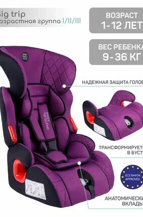 Автокресло детское AMAROBABY Big trip, группа I/II/III, (фиолетовый)