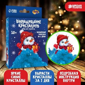 Выращивание кристаллов «Новый год! Снеговик», цвет синий, набор для творчества