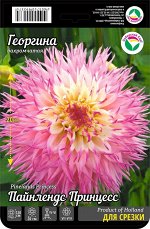 Георгина Пайнлендс Принцесс 1шт (Сиб сад)