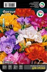 Фрезия махровая Смесь 5/6 15шт (Сиб сад)