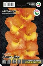 Гладиолус Конка Дор 10/12 10шт (Сиб сад)