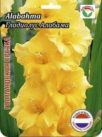 Гладиолус Алабама 12/14 10шт (Сиб сад)