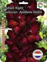 Гладиолус Арабиан Найт 10/12 10шт (Сиб сад)