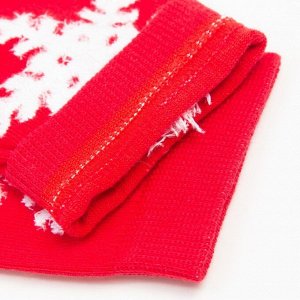 Носки женские, цвет красный, размер 23-25