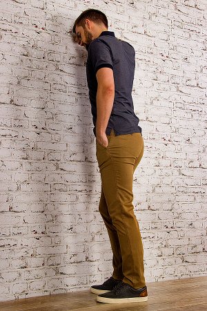 Брюки мужские демисезонные