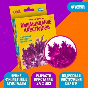 Набор для творчества «Лучистые кристаллы», цвет фиолетовый