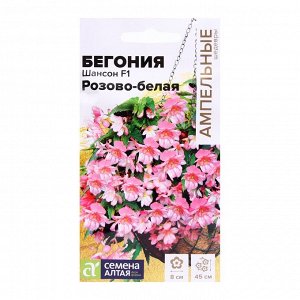 Семена комнатных цветов Бегония Шансон Розово-белая ампельная клубневая, Мн, цп, 5 шт.