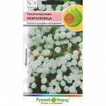Тысячелистник Жемчужница (НК)
