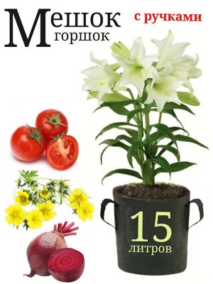 Контейнер BAGPOT c ручками 15 л.