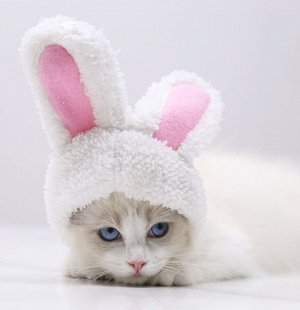 Шапка-кролик осенне-зимняя, в ассортименте