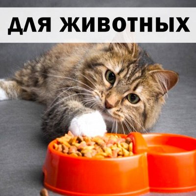 ХЛОПОТУН: российские хозтовары — Для животных