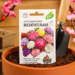Семена цветов Астра &quot;Восхитительная&quot;, смесь, О, 0,3 г
