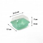 Мини-парник для рассады, 21,5 ? 17 ? 7,5 см, без вставок, зелёный