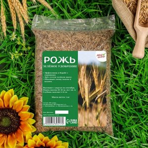 Семена Рожь «Мой Выбор», 1 кг