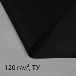 Материал для ландшафтных работ, 10 ? 0,8 м, плотность 120 г/м?, с УФ-стабилизатором, чёрный, Greengo, Эконом 20%