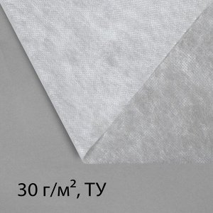 Материал укрывной, 500 ? 3.2 м, плотность 30 г/м?, с УФ-стабилизатором, белый