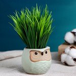 Горшок &quot;Сова&quot; 6,5х6,5х6см, бирюзовый